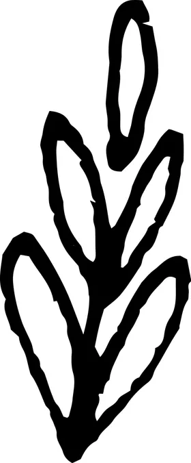 手绘植物枝干