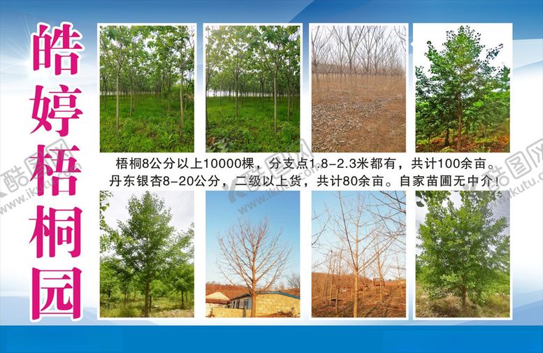 编号：81158309232326188210【酷图网】源文件下载-宣传彩页