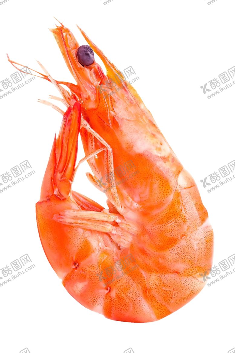 编号：71596603280528556448【酷图网】源文件下载-小龙虾