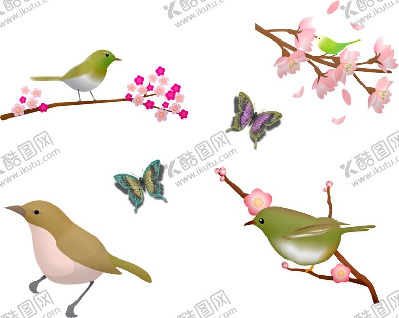 编号：76960010152240257888【酷图网】源文件下载-小鸟