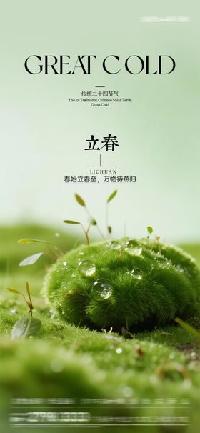 立春质感节气海报