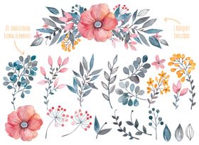 森系水彩手绘插画花鸟花卉花草叶