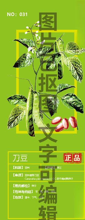 刀豆