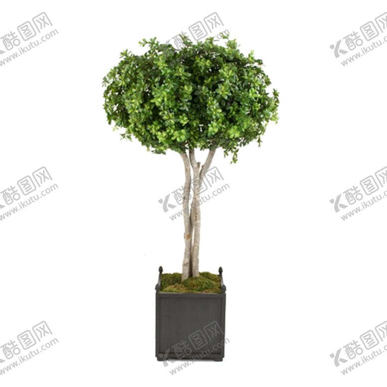 编号：35765407040616079617【酷图网】源文件下载-免抠背景花草树木