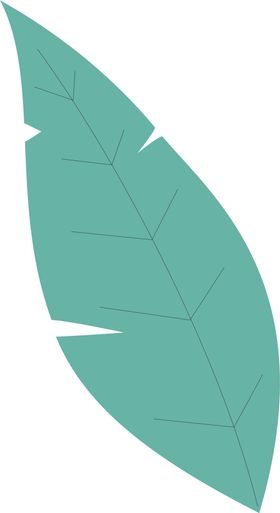 手绘树叶
