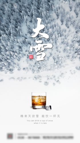 节气大雪酒吧夜店海报