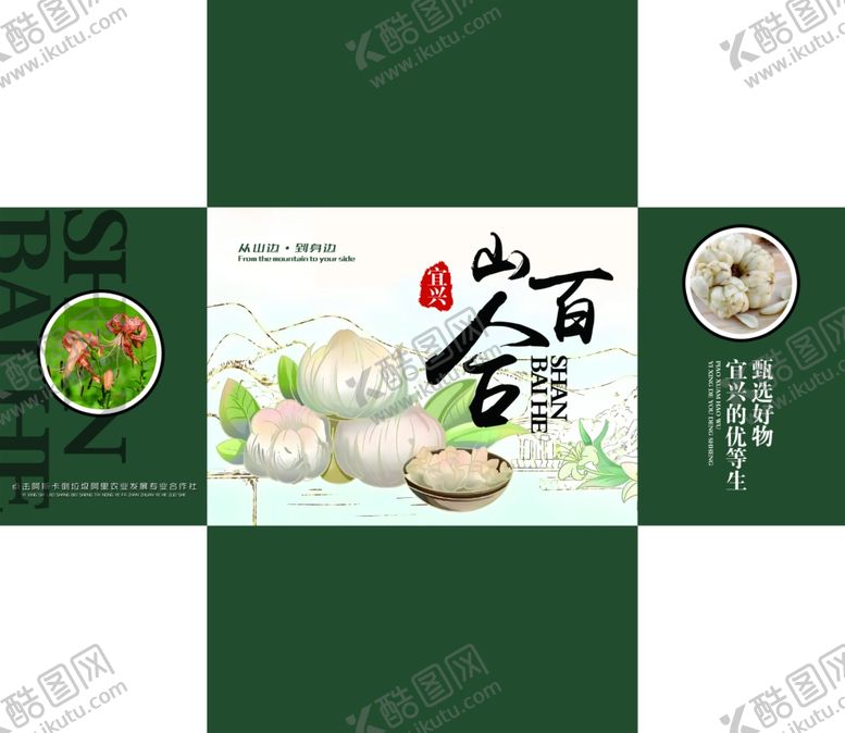 编号：32877302100740139537【酷图网】源文件下载-山百合包装
