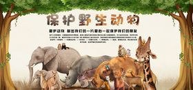 保护野生动物