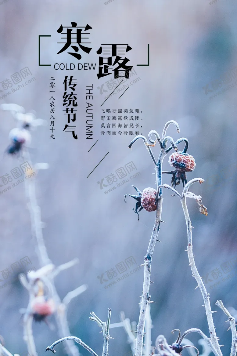 编号：98271006282153113348【酷图网】源文件下载-寒露海报
