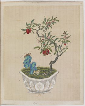 盆景花鸟