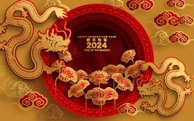 龙年2024新春海报