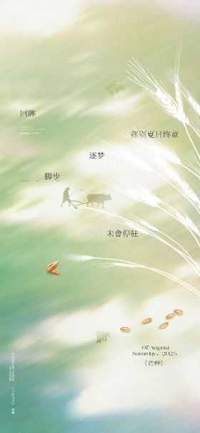 芒种简约节气海报