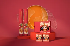 样机效果展示新年新年包装贴图