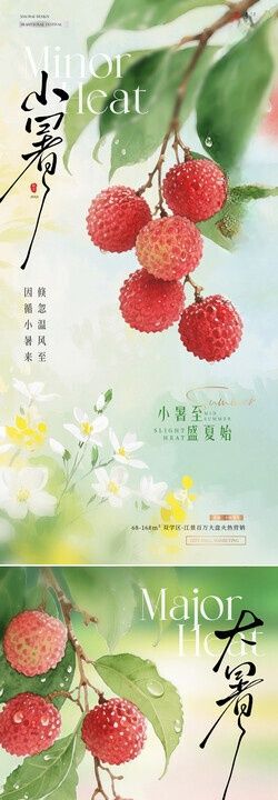 地产小暑大暑荔枝花卉清新海报