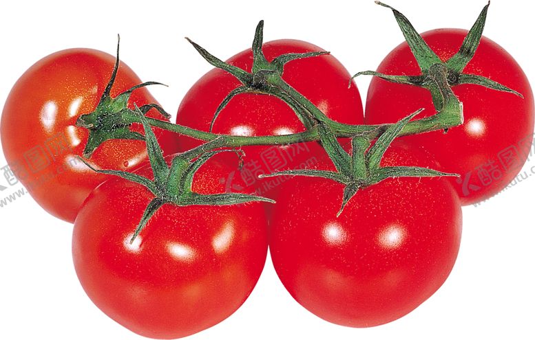 编号：13762709140829183981【酷图网】源文件下载-西红柿