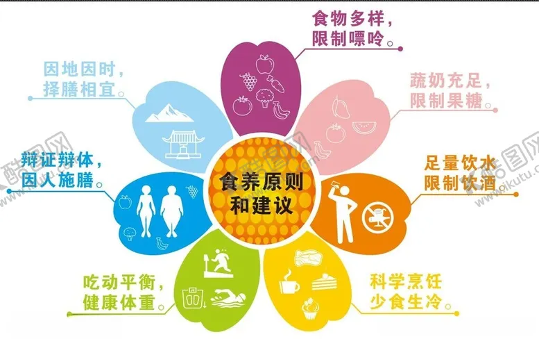 编号：67032002241931375939【酷图网】源文件下载-食养原则和建议分解图