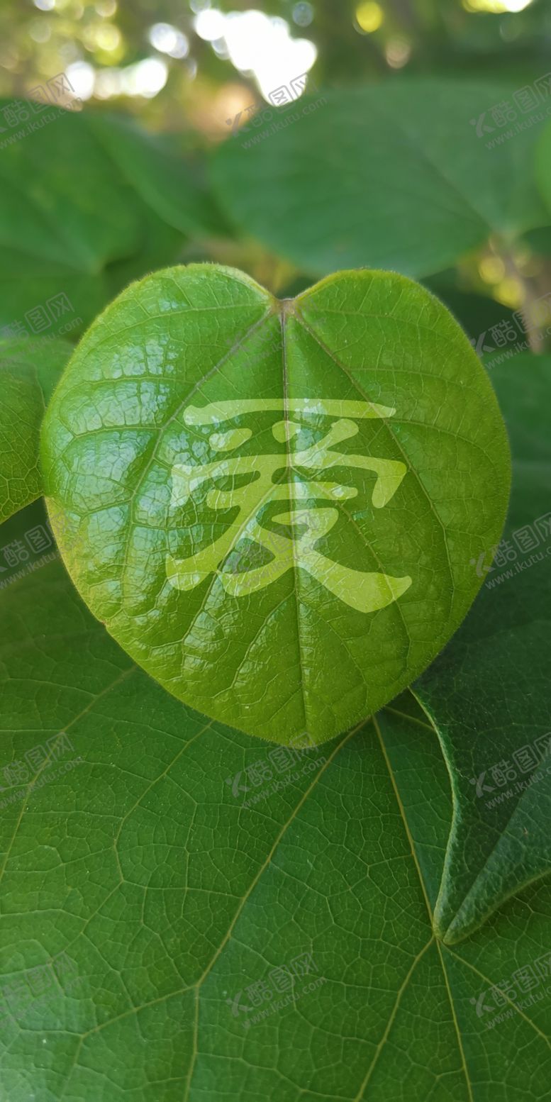 编号：92940910281916411174【酷图网】源文件下载-绿色壁纸树叶爱壁纸