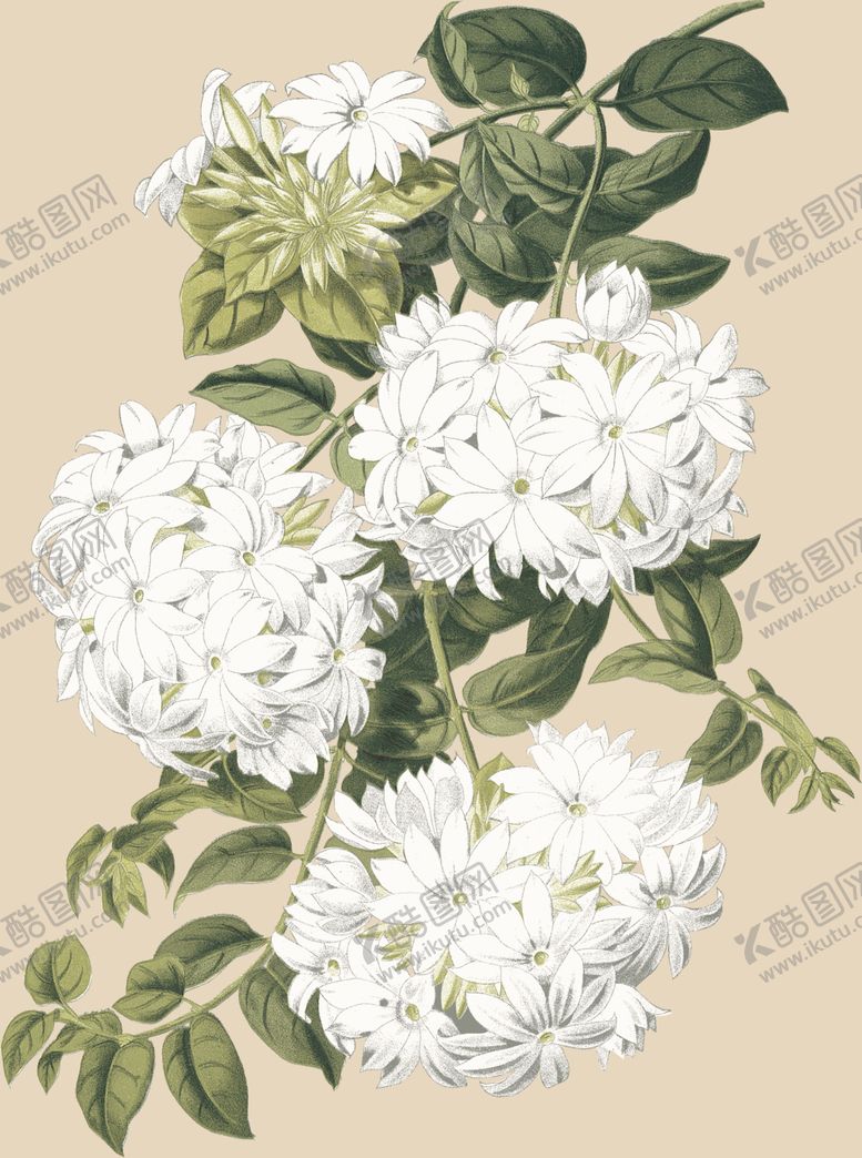 编号：92671409260154561056【酷图网】源文件下载-手绘高清数码花爆款大牌