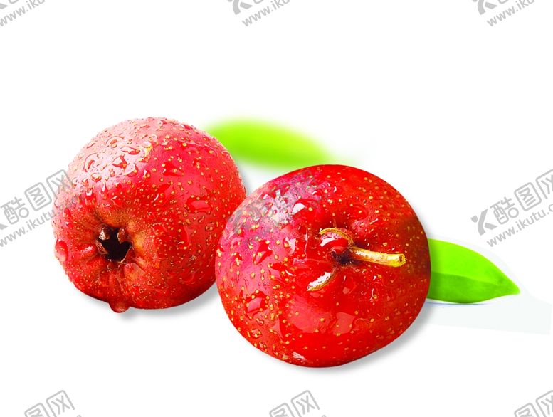 编号：36702409241450194753【酷图网】源文件下载-山楂图