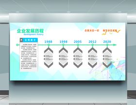 企业发展历程
