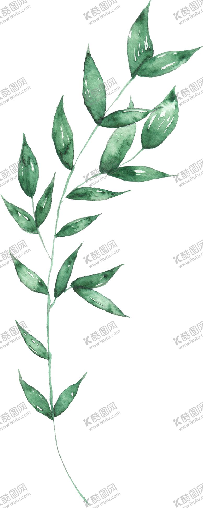 编号：36476905150057142536【酷图网】源文件下载-海报元素花草元素展架元素