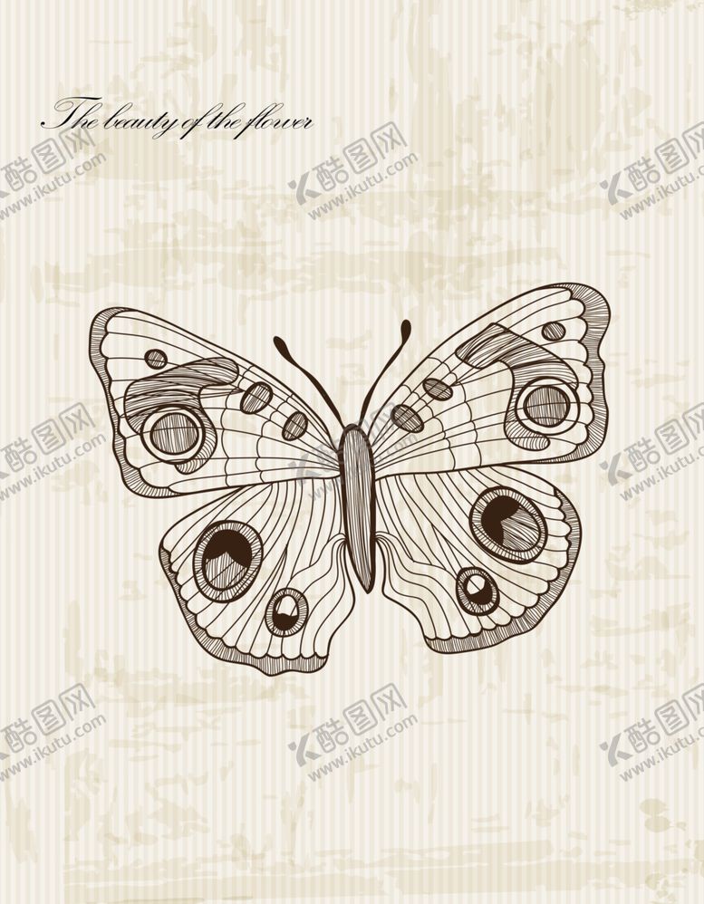 编号：88227110212232146294【酷图网】源文件下载-蝴蝶挂画