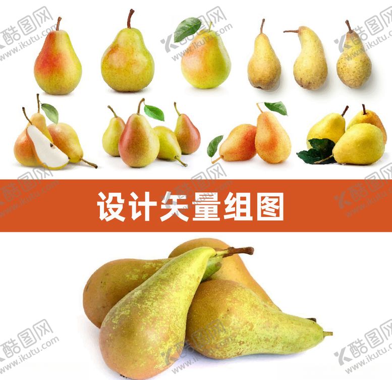 编号：21228409120738098221【酷图网】源文件下载-啤梨矢量