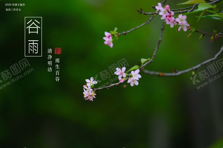 编号：67192107070534004877【酷图网】源文件下载-谷雨摄影图片
