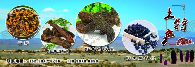 编号：54513605182139315175【酷图网】源文件下载-土特产