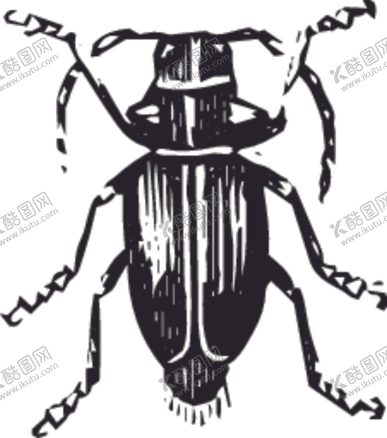 编号：37127010050548384595【酷图网】源文件下载-自然昆虫标本插画
