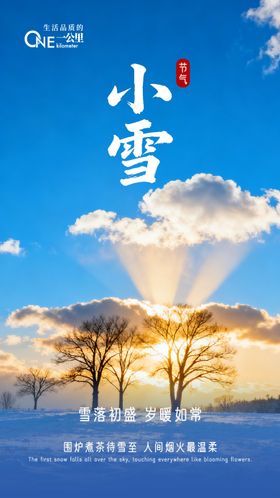 地产商业小雪大学节气海报