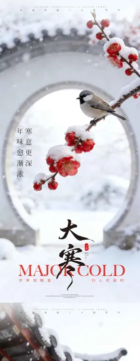 中式大寒海报