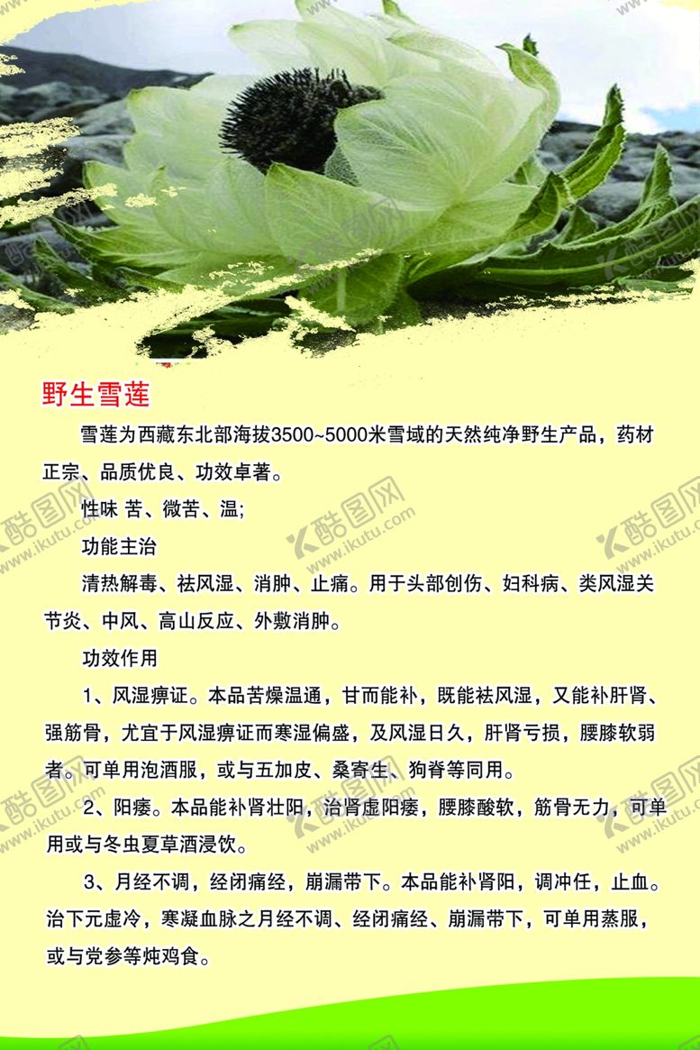 编号：99858610241050186506【酷图网】源文件下载-雪莲