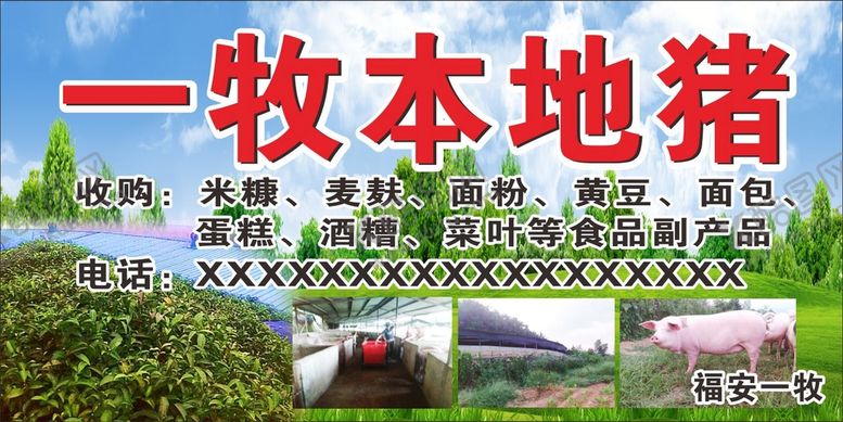 编号：45109001251313213953【酷图网】源文件下载-本地猪
