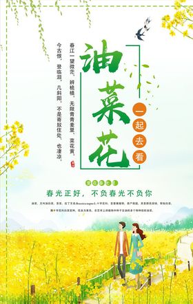 油菜花