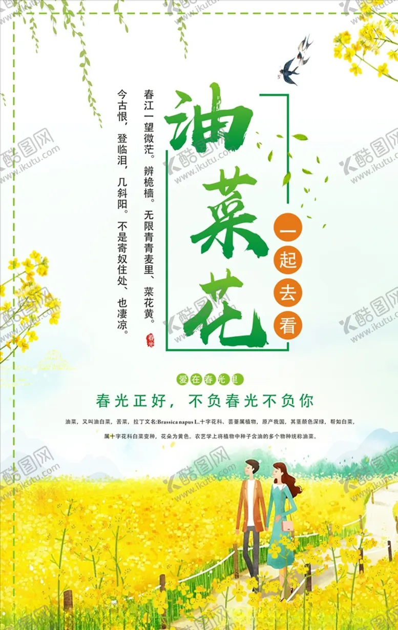 编号：74649406261659071904【酷图网】源文件下载-油菜花
