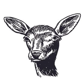 麋鹿绘画