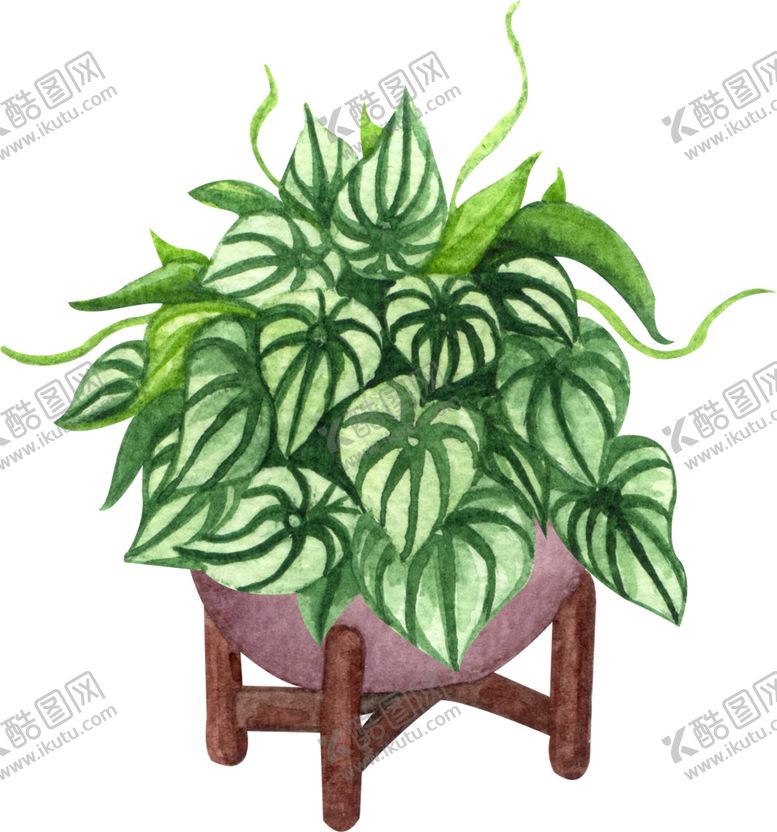 编号：96861109291613169643【酷图网】源文件下载-绿植水彩插画