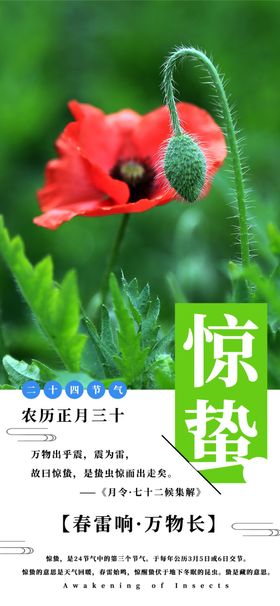 手机壁纸客厅画北欧挂画水彩画漫画绘