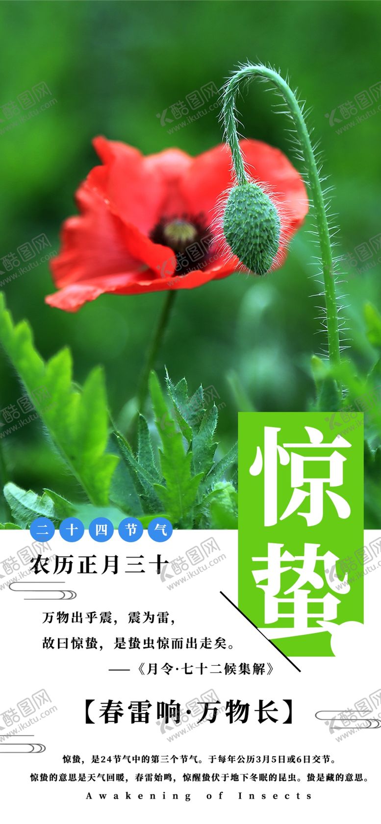 编号：60750606251939497107【酷图网】源文件下载-手机壁纸