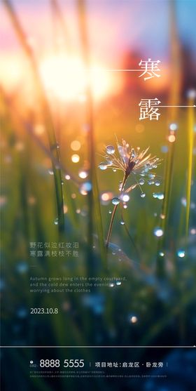 寒露节气海报