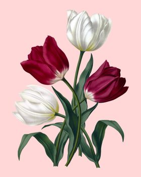 花卉植