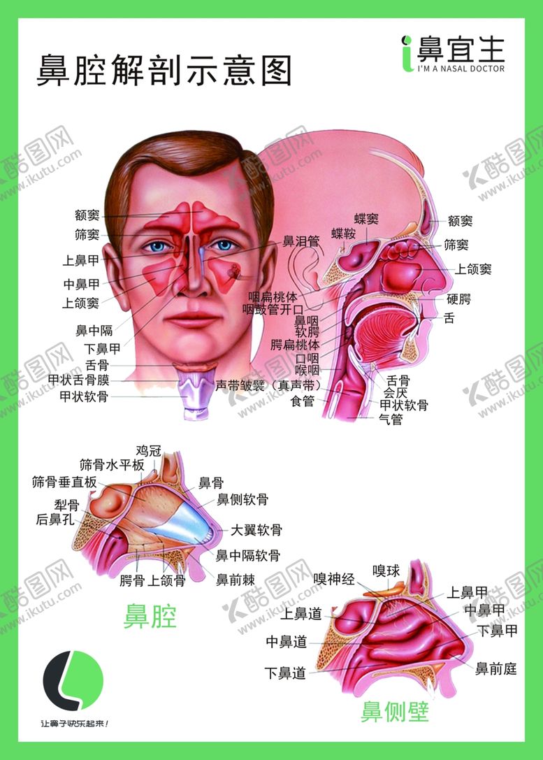 编号：38916304162207277762【酷图网】源文件下载-I鼻医生