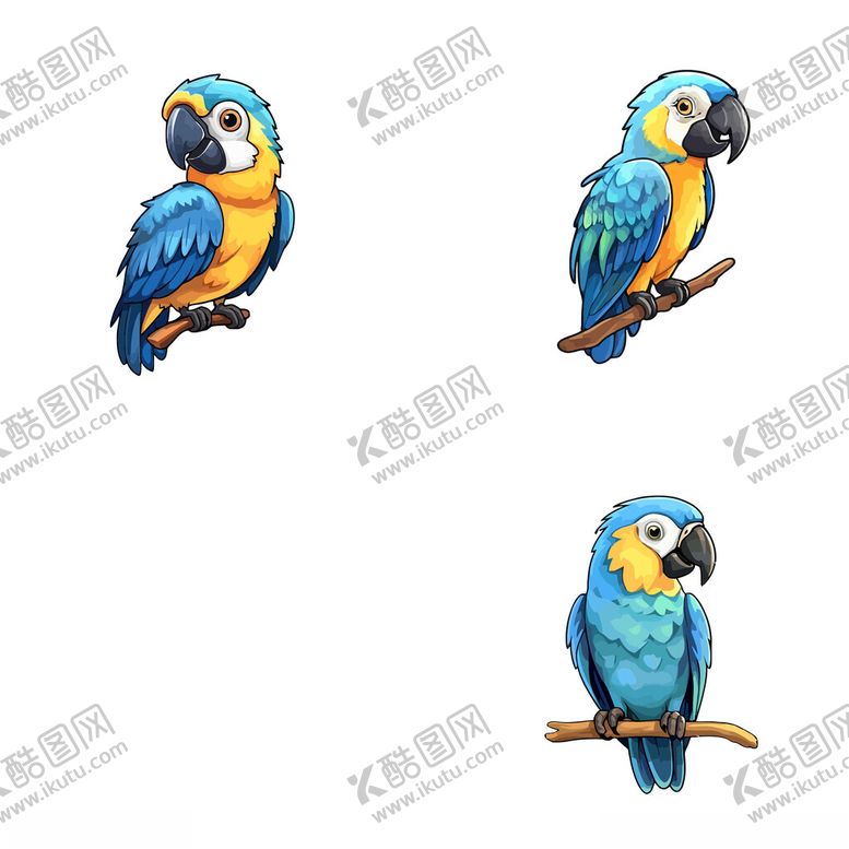 编号：53754102070253585084【酷图网】源文件下载-鹦鹉