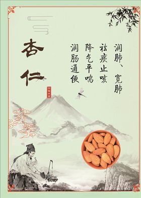 中药药材杏仁