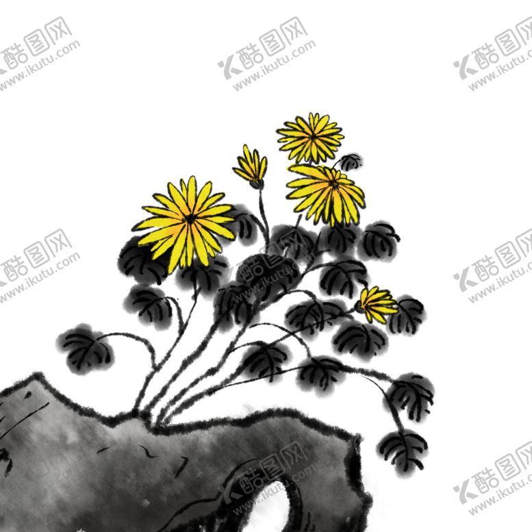 编号：60823610051834147295【酷图网】源文件下载-菊花素材