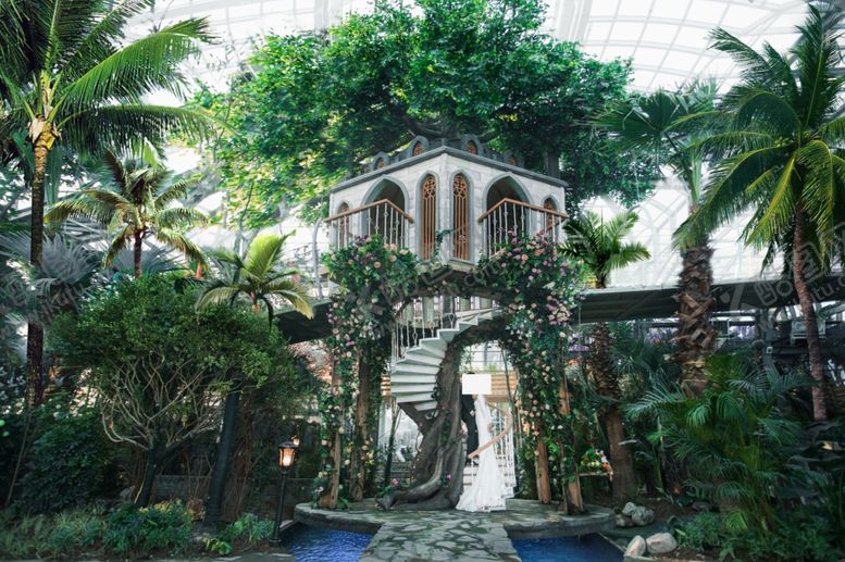 编号：99559806150038574061【酷图网】源文件下载-婚纱照香草小镇室内绿植