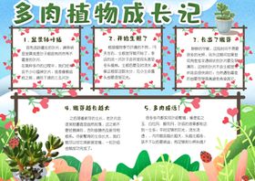 成长小报