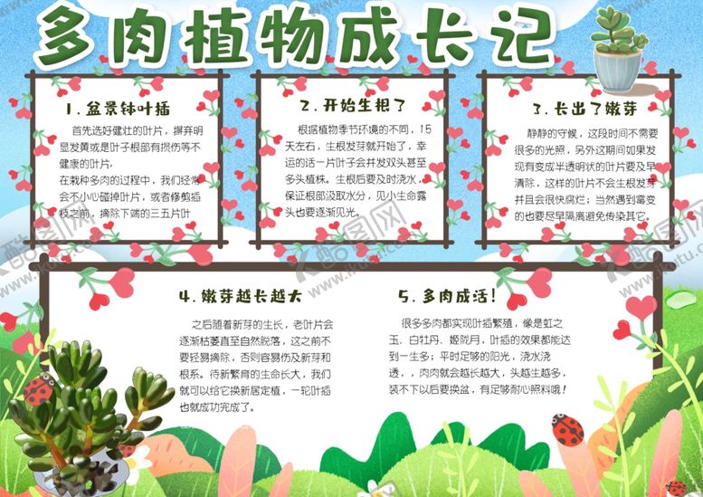 编号：62251107121402521839【酷图网】源文件下载-植物成长小报