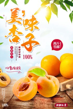 杏子